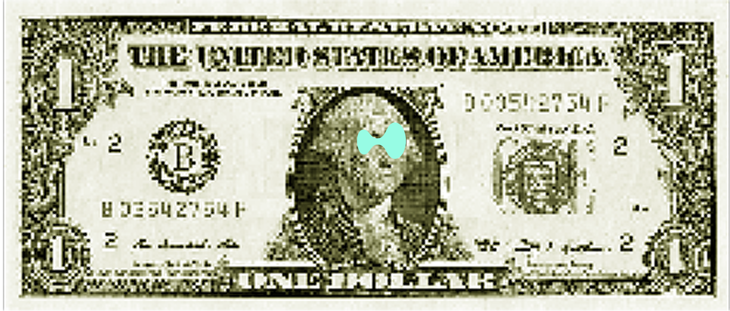 UAE 100 Dirhams