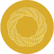 USDhl Logo